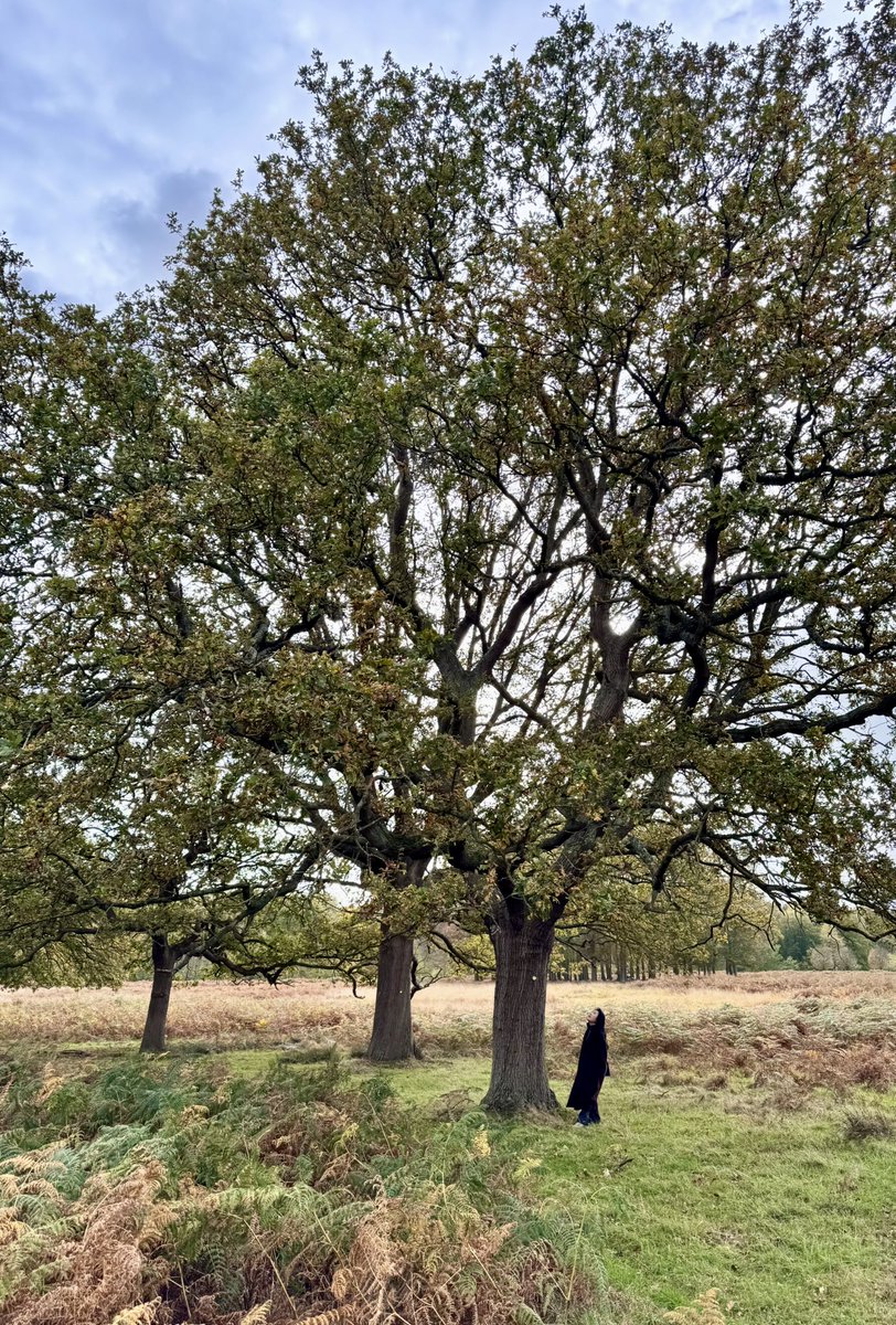이번주 하이라이트는 리치몬드 파크였다. 나무가 커서 신난 나를 보렴.