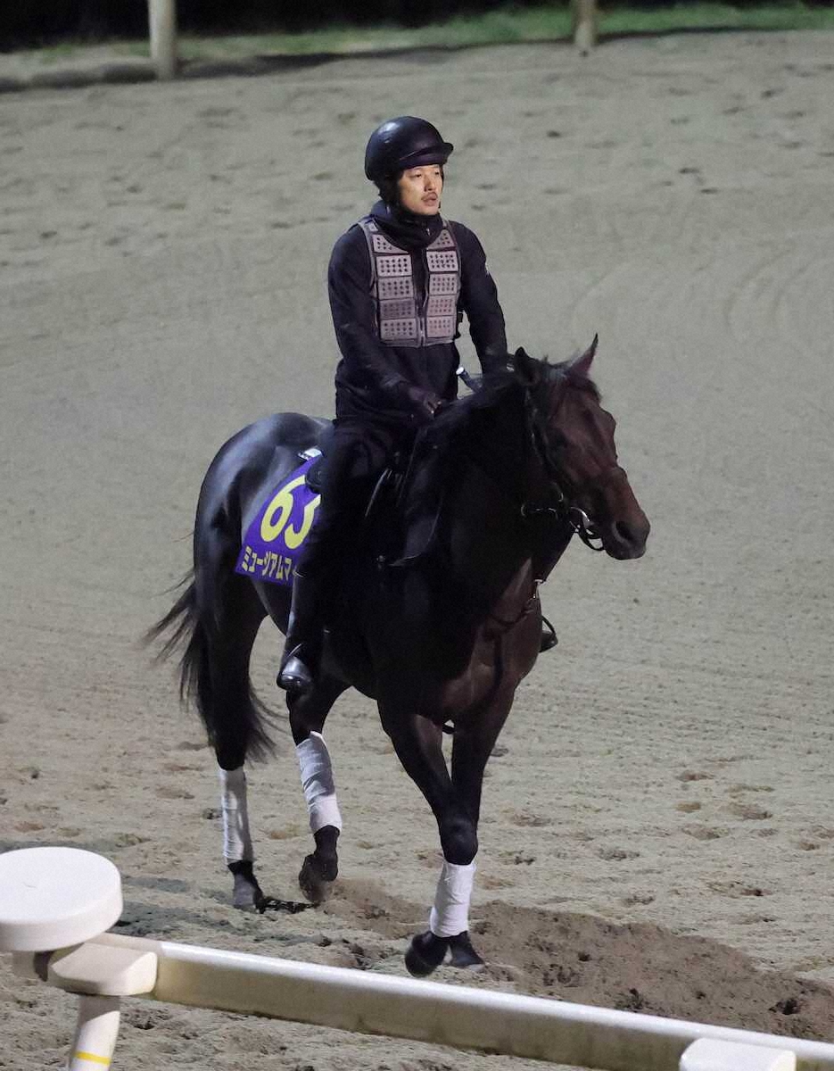 ウィッティングハム アメリカ競馬の伝説　Wittingham 日本競走馬協会 ウィッティングハム (Whittingham) | 競走馬データ - netkeiba