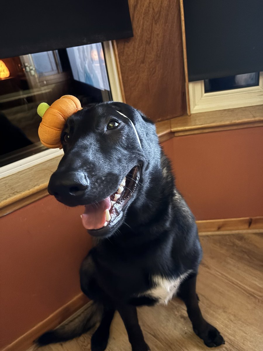 L i t a ✧・ﾟ tweet media