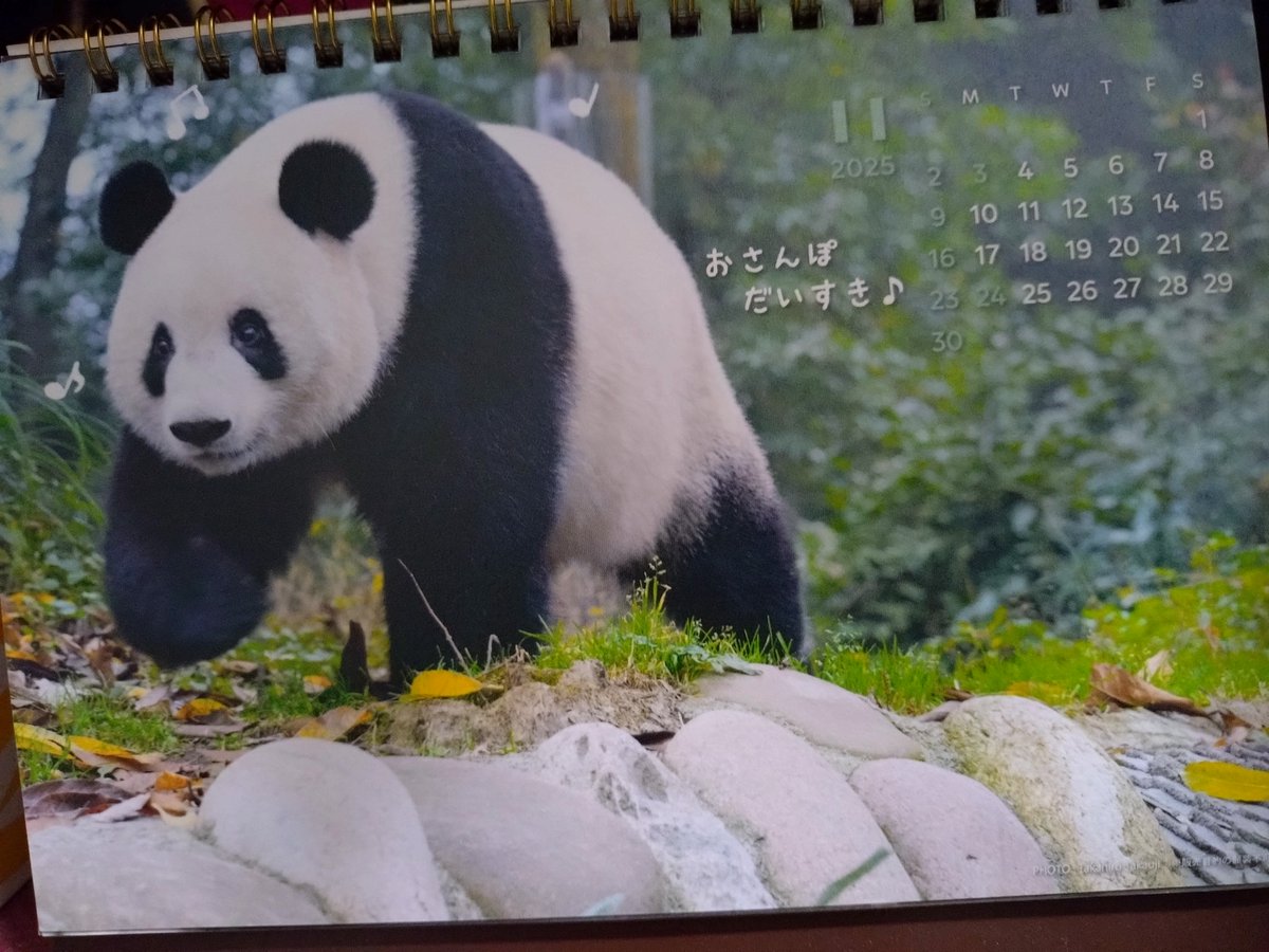 ペコちゃん (@peco5peco7peco) / Posts / X