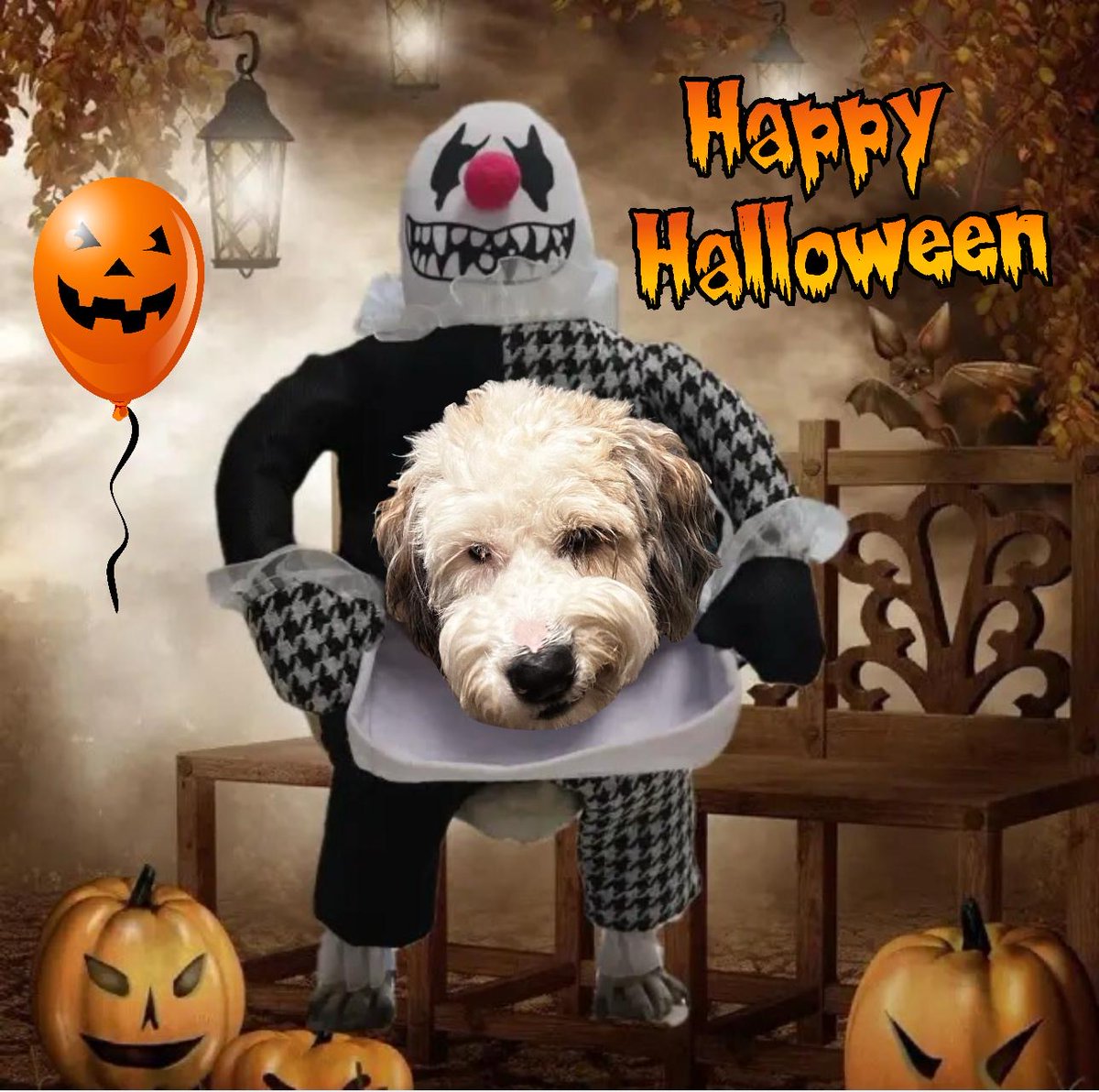 Happy Halloween from Jibbit!