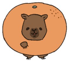 卡皮帕拉|變身魔法大成功! tweet media