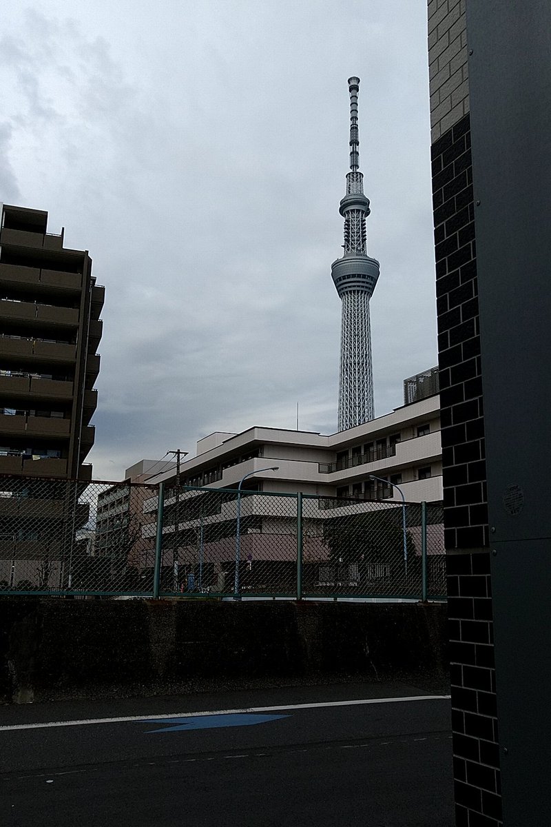 相互の皆様、X利用者の皆様11月もどうぞよろしくお願いします。
今年も後2ヶ月月日立つの早いですね。
体調に気をつけて、いろいろやる事片付けていきましょう。
#相互募集中 
#フォロバ💯