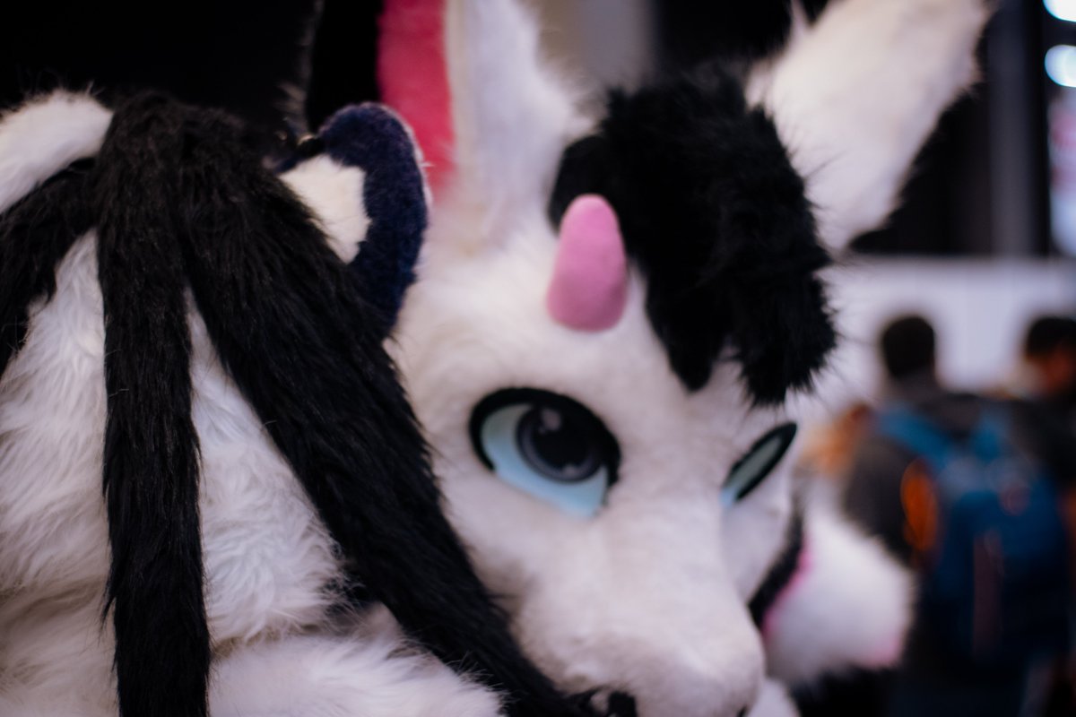 I don't know if my friend is hugging me or sniffing me, but I love him anyway.

#FursuitFriday