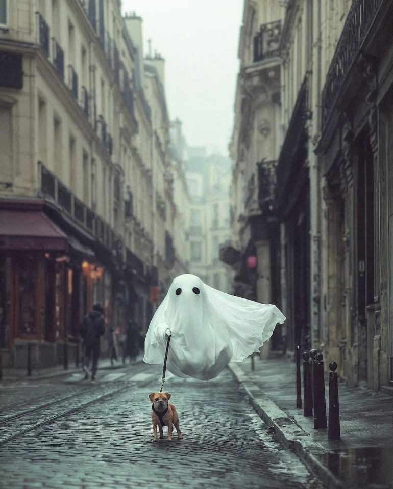 Irena Buzarewicz (@irenabuzarewicz) on Twitter photo 