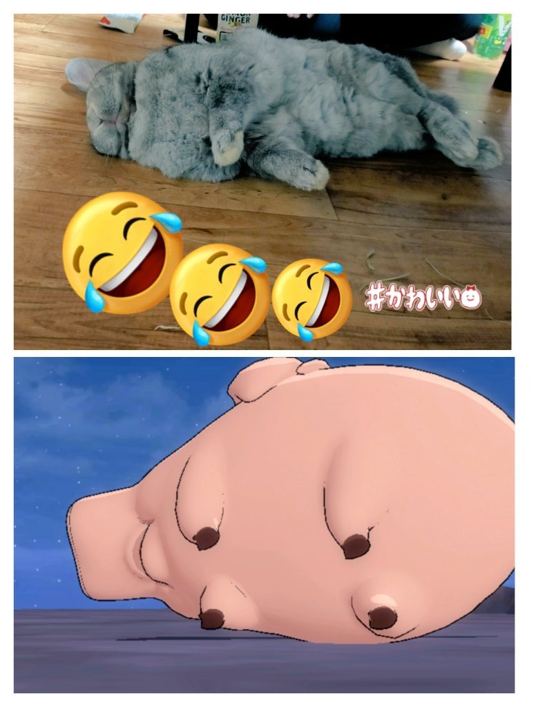 happy pig☆様 🐇幸運の牙狼うさぎ🥕 on X