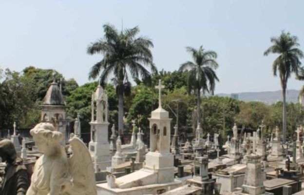 🪦 Cemitérios de BH terão esquema especial de visitação no Dia de Finados

Saiba mais: alvoradafm.com.br/noticias/detal…

Foto: Suziane Brugnara/PBH