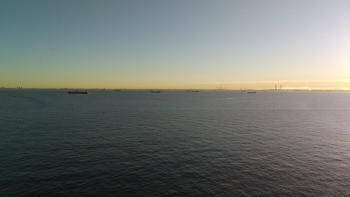 うさぎさん🐰 on X