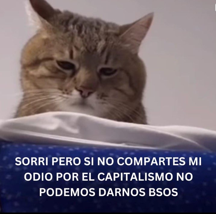 Jorge Ramos-González (@jorgeramgon) on Twitter photo 