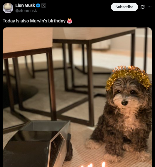 Shit_Stick4000's tweet photo. Took a $SOL gamble here on $MARVIN
This is not OG but could easy run hard
@elonmusk dog Birthday 01/11/25
Grabbed a bag here

CA:
3P2uouSrBzDy2cRoBFzy1bmpZrxq8DUCz1bU2Xujpump https://t.co/2qdy52RVUn