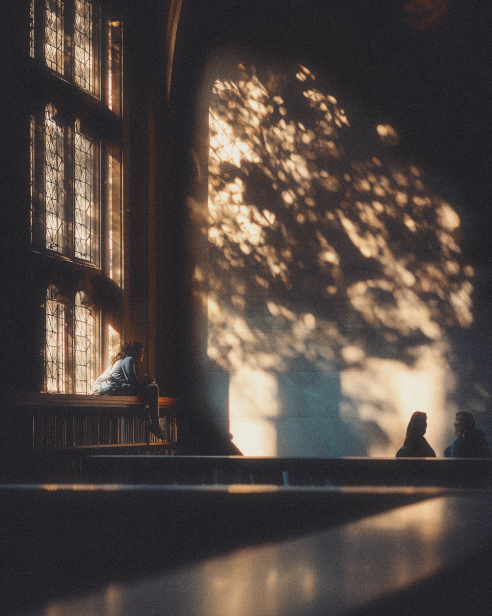 k1rin0_ma's tweet photo. Golden hour library https://t.co/SkN2eGgwaS