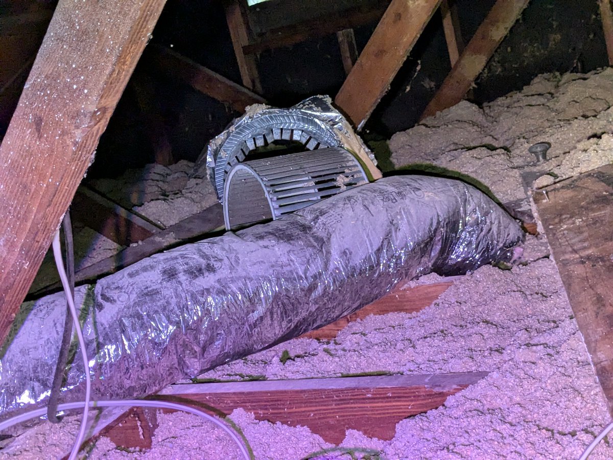 Attics can be a spooky place to venture into alone. Luckily SWEET Alabama offers FREE home energy retrofits (and DIY kits) to Birmingham residents to help seal up those scary spaces and help keep energy costs down year round.
Visit sweetal.org/get-help to apply!