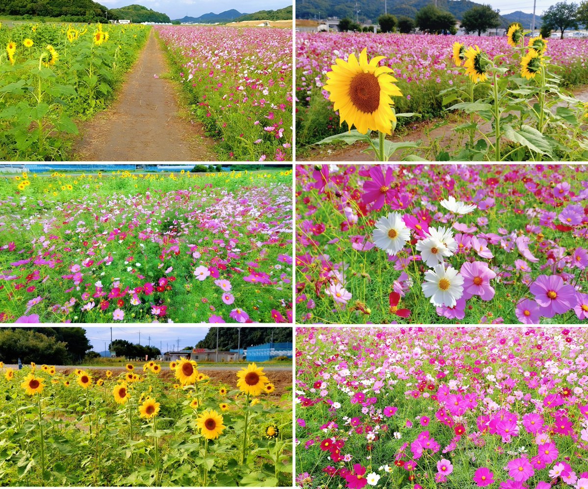 あっきー•*¨*•.¸♬︎ あっきー@74.4kg on X