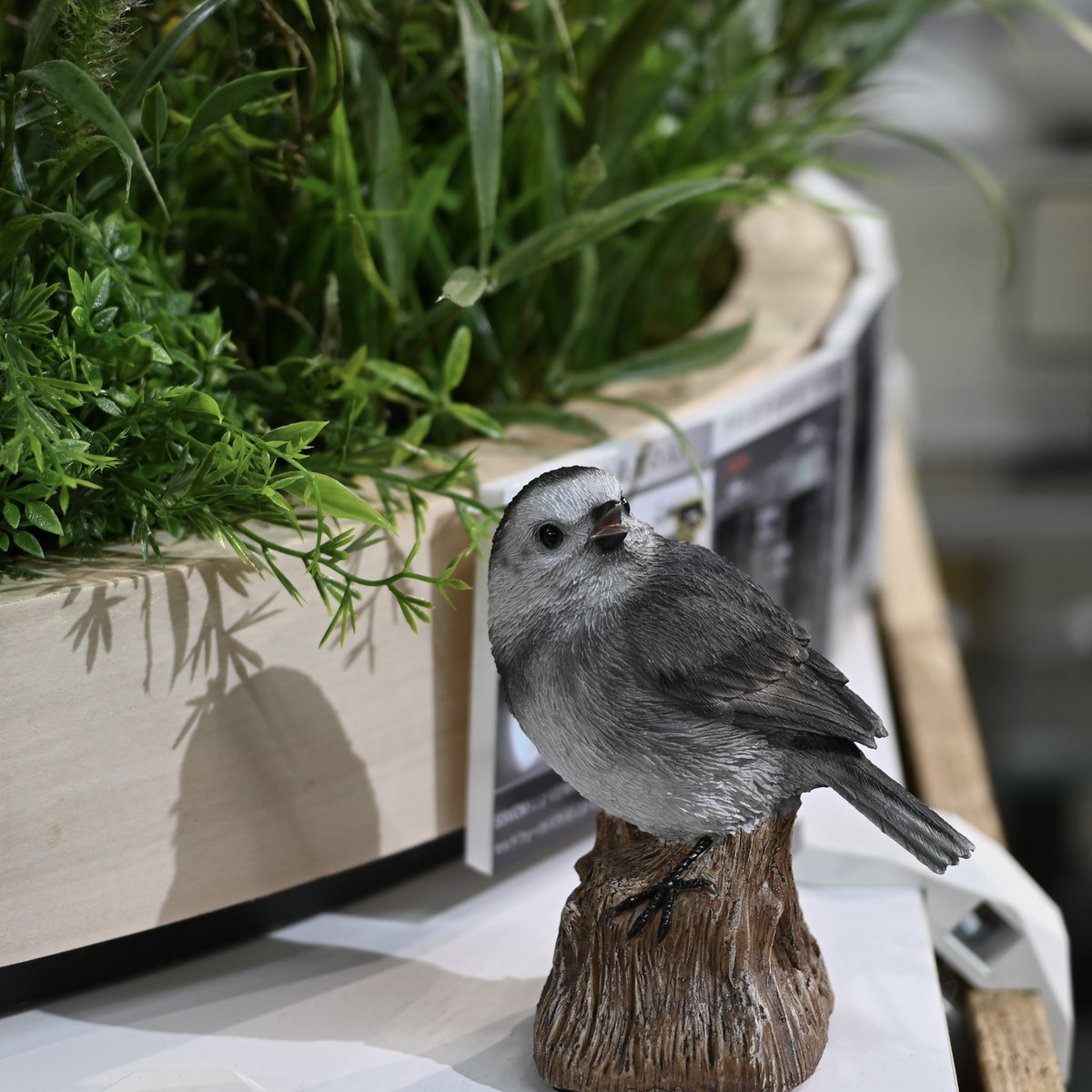 photoaotonao's tweet photo. 超、危険な三連休🤣🤣🤣
🐤超初心者🔰の予定は
土曜日 🐦撮り+😊写真展?
日曜日 🐦撮り+🥩+☄️
月曜日 💃🕺よさカメ+☄️
⛔️ビック👎ヨドバシ🈲マップ📴ニコンプラザ
📴24-70🙅♂️70-200🚫F2.8
#ニコンプラザ
#DX16−50/2.8
#寝坊
#ゆっくりの朝
#朝日が綺麗 https://t.co/rc1B2wJNaI
