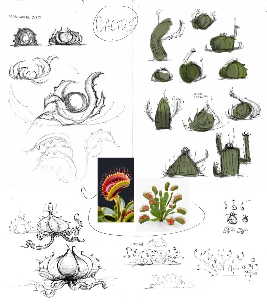 alagea94361's tweet image. Exploring the flora of the Felkhari savanna!
Here’s a look at the concept art research for the plants that bring color and life to this vast, mana-rich land.
Which design catches your eye? 
#conceptart  #indiedev  #IndieGameDevs