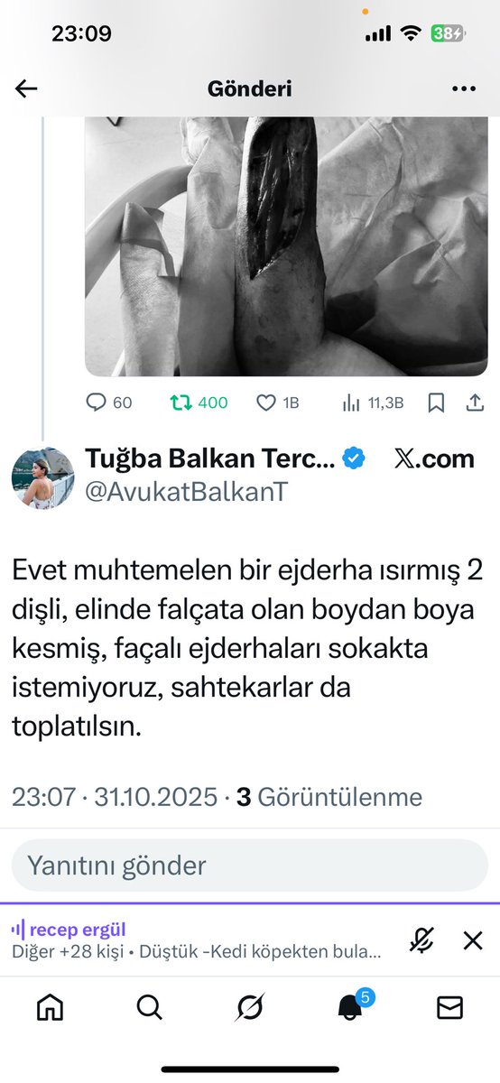 BulutGulcuN's tweet photo. Başıboş köpek saldırısında yaralanan MS hastası genç için ‘ejderha yapmıştır’ diye dalga geçen avukat (!) sözde Çağla cinayetini araştırıyormuş duy da inanma. İnsandan, çocuktan bu kadar nefret eden, mağdurla dalga geçen biri en meşhur cinayet davası ile niye ilgilenir? Şöhret için. 
#mizantrop