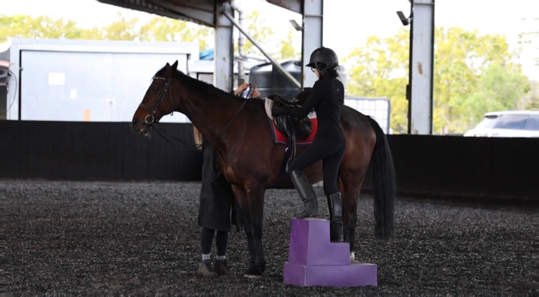 calchsara's tweet photo. I love horse riding the feeling of freedom, the wind brushing past, and the bond between rider and horse make every ride truly magical. 🐎✨ https://t.co/8IPBB6MNsi