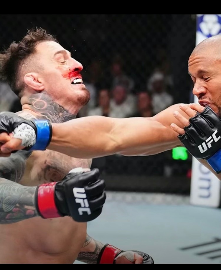 Notbait 🤚🏼 tweet media