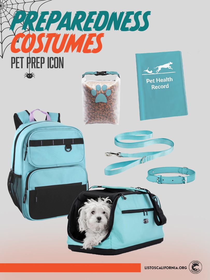 Need last minute ideas? 

Don’t get caught off guard by disaster… or without a costume!

Get ready for any disaster that’s non-costume related at listoscalifornia.org