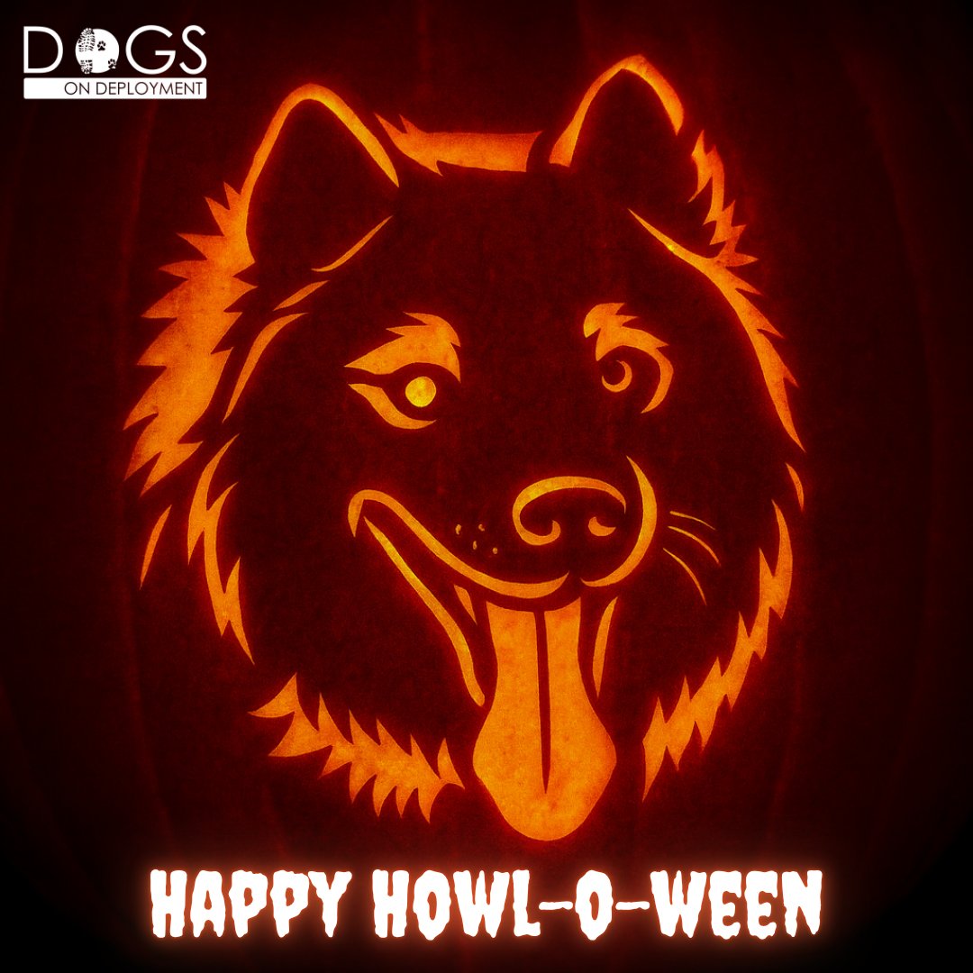 DogsonDeploymnt's tweet photo. Too cute to spook, but I’ll still take the treats. 😋🍬 Happy Howl-o-ween from your favorite mascot! 🐾🦁🎃
#HappyHalloween #DogsonDeployment #Halloween #MilitaryPets #Nala #DoDMascot #AmericanHeroPetOfTheYear https://t.co/YV7IxYWfbe