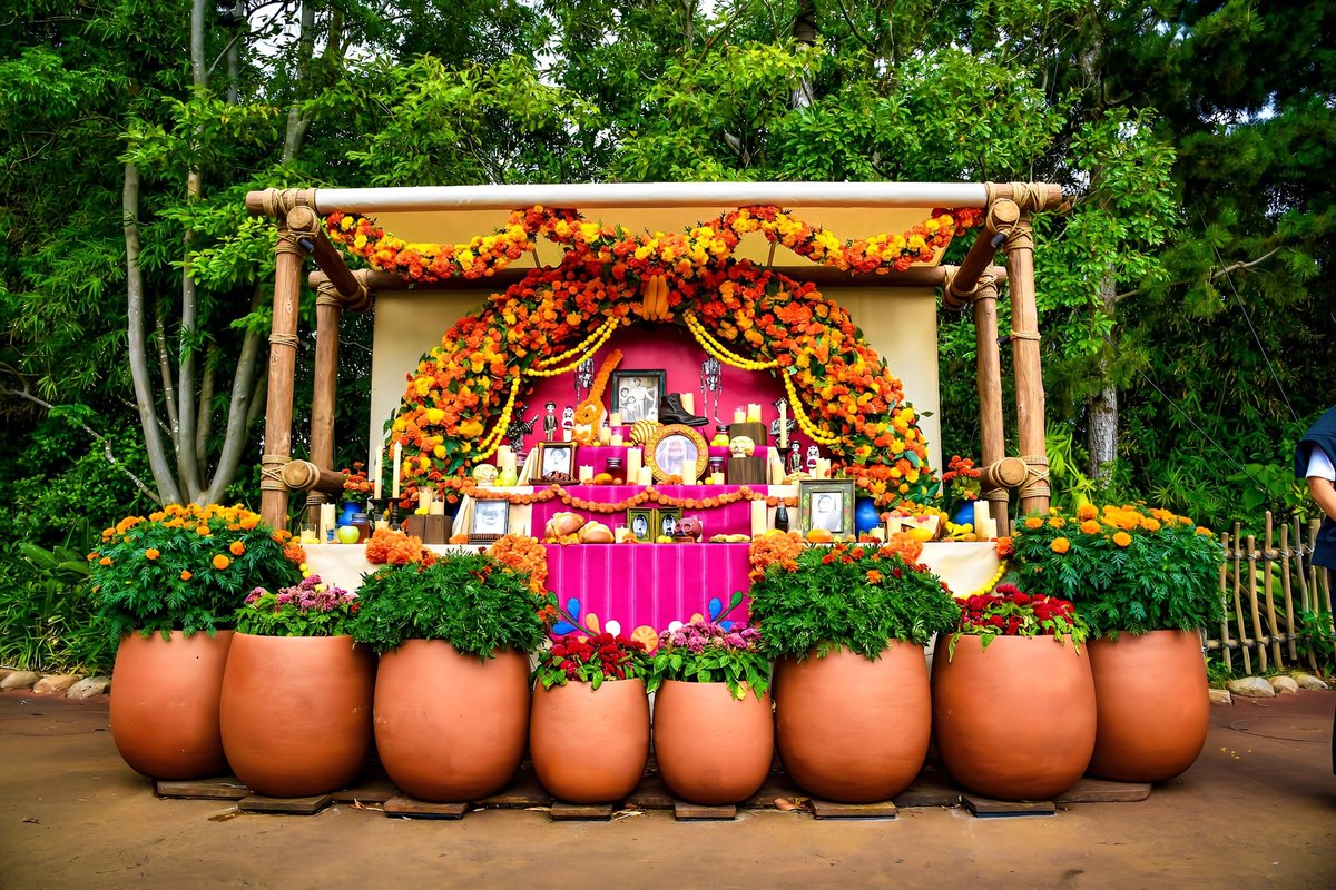 kazuさま確認ページ♡ カズ on X