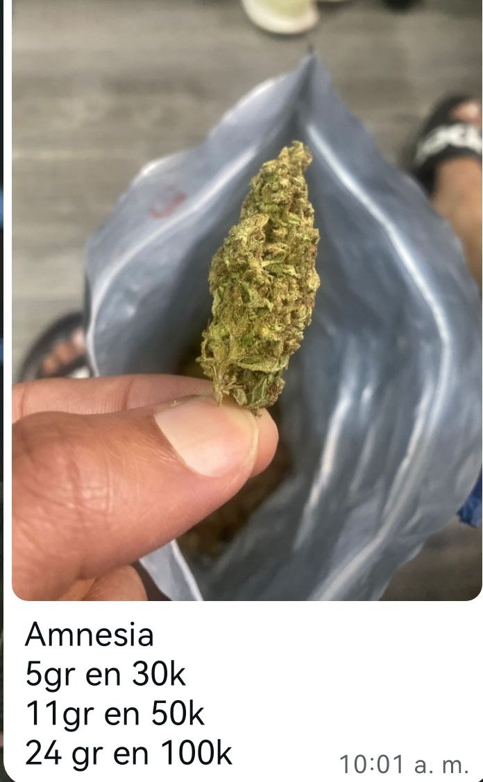 weedstorekpu's tweet photo. https://t.co/bln5XdWolA