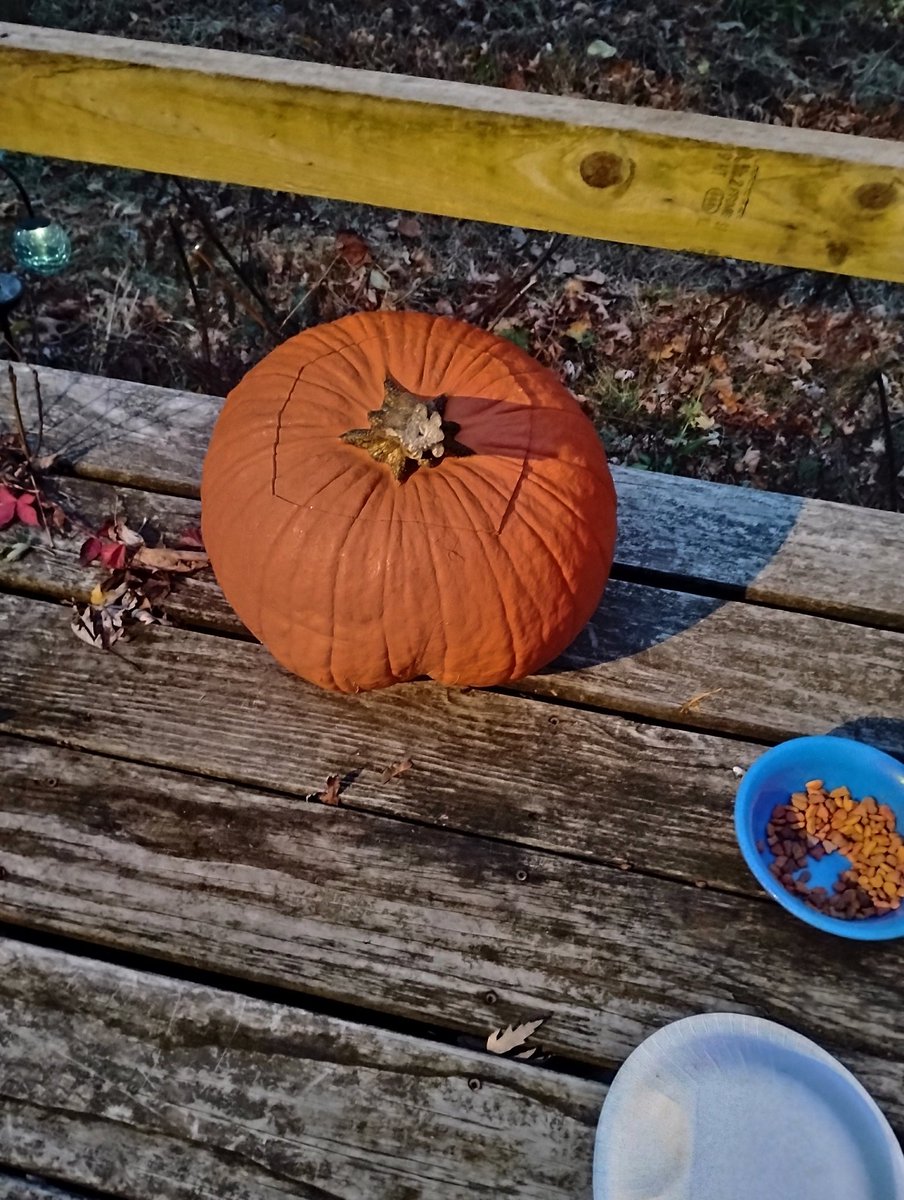 2247Half's tweet photo. Look at my cheeked up pumpkin. https://t.co/KqzbQLPE17