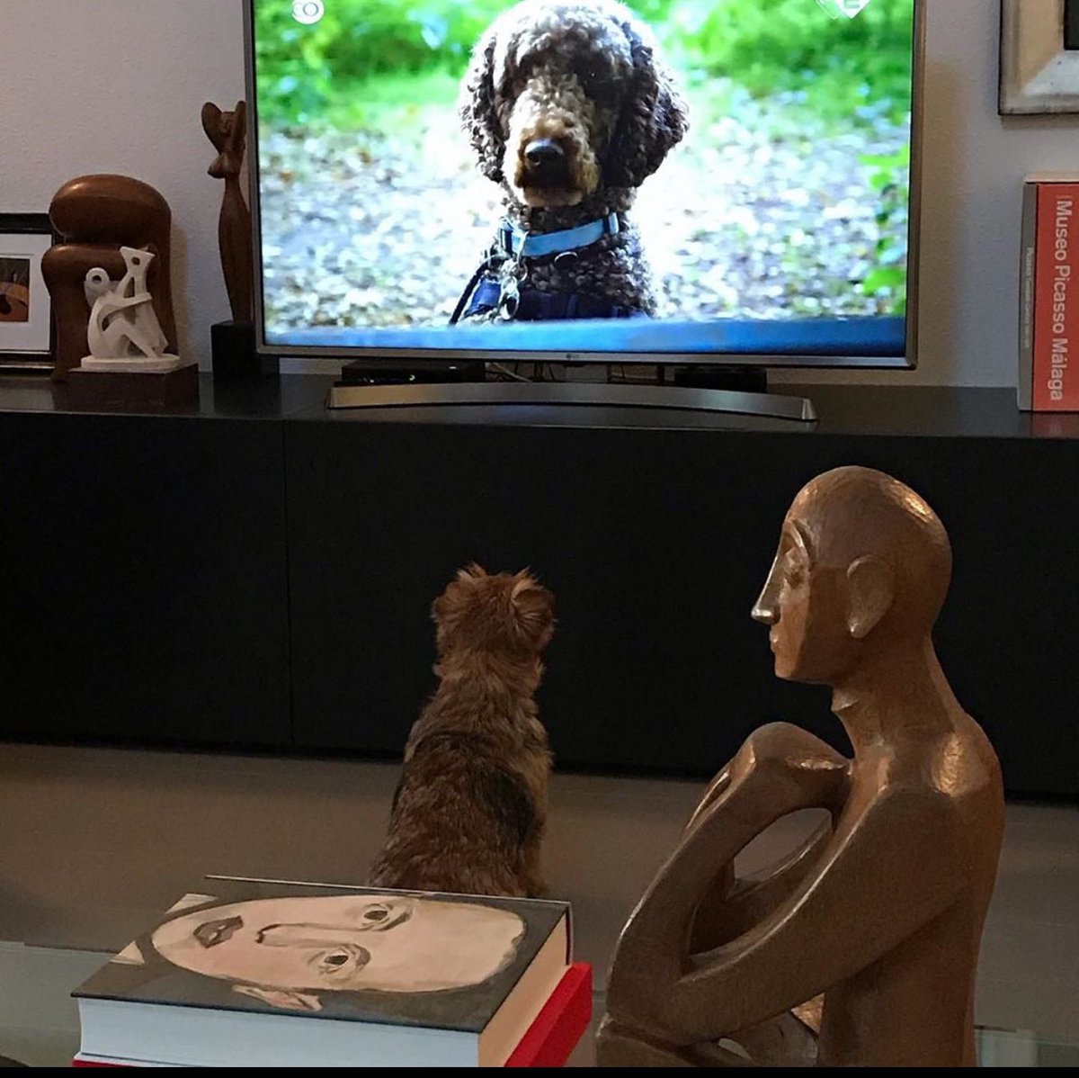 patrickjackso09's tweet image. My family ❤️🦋