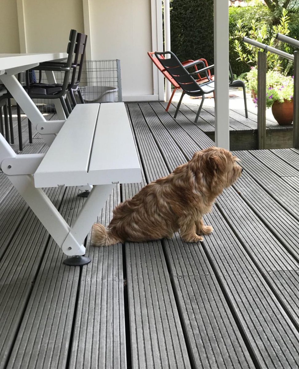 patrickjackso09's tweet image. My family ❤️🦋