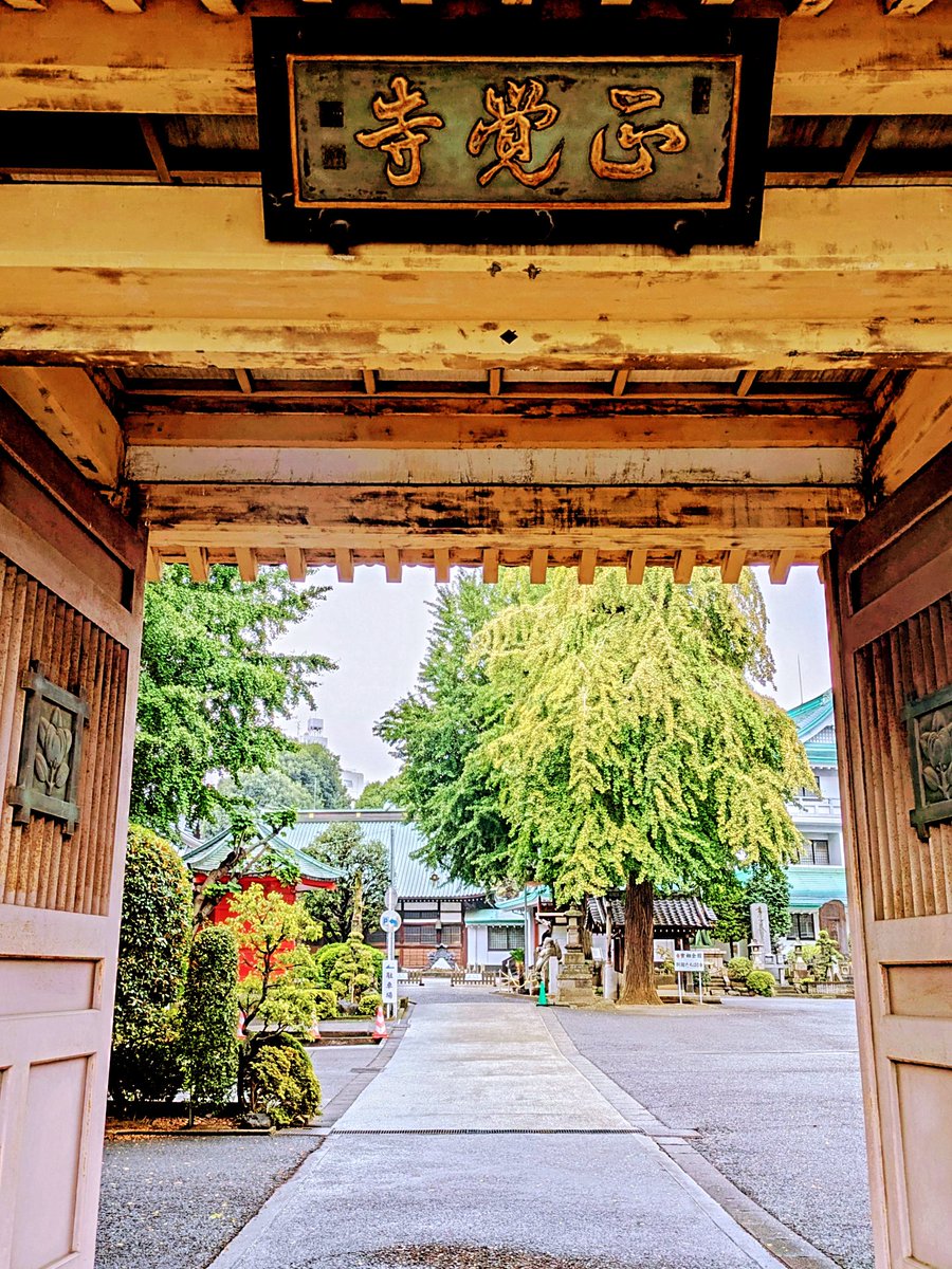 あっきー (@akky31031) / Posts / X