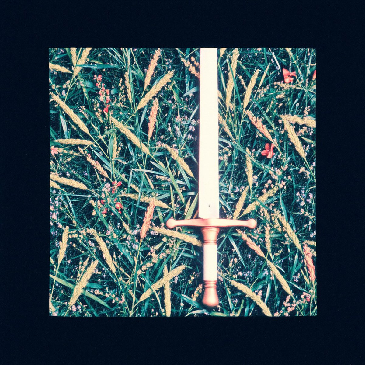 Non mi trarre senza ragione 
Non mi impugnare senza valore