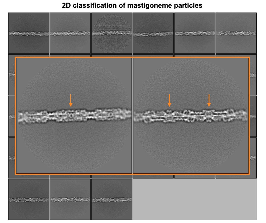 Rui Zhang tweet media