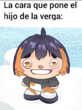 Kashimerito 🥠 tweet media