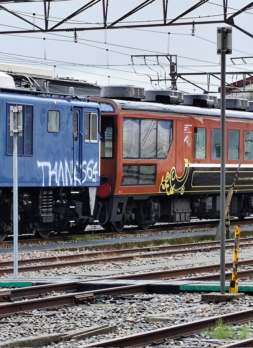 あぽかど (@ATS_tyuriiiiin) / Posts / X