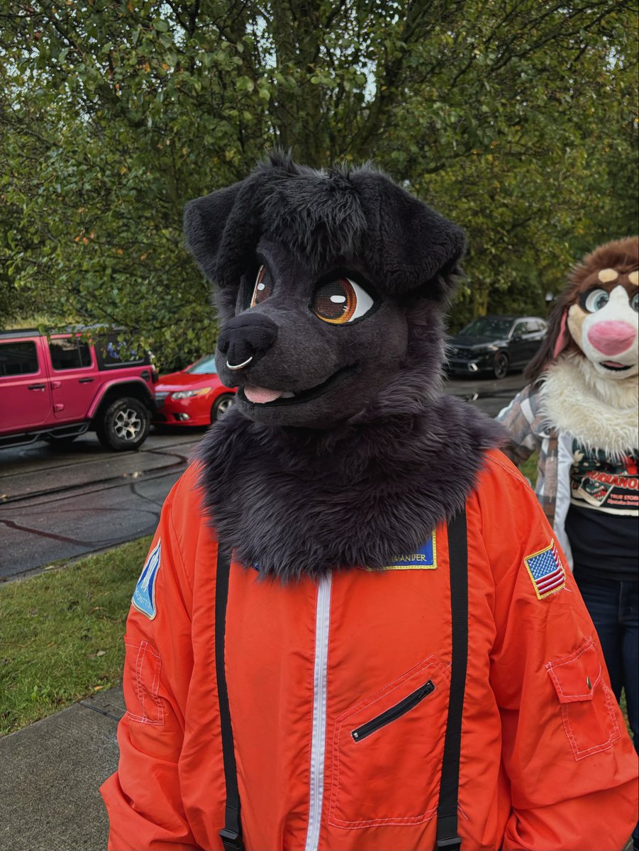 Halloween is the best holiday ngl

#fursuitfriday