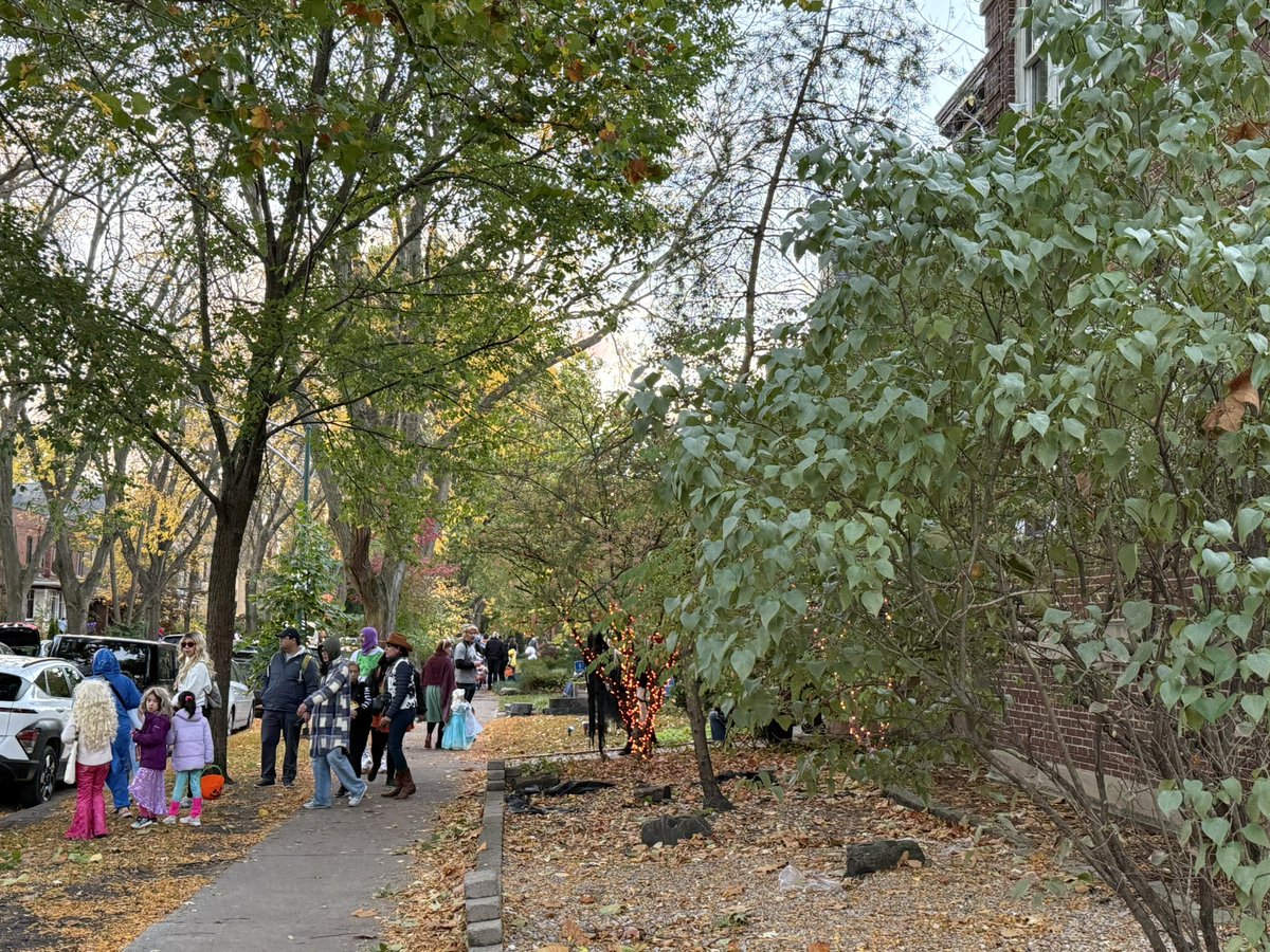Eric_Erins's tweet photo. My neighborhood in urban Chicago has more trick or treaters than the sidewalks can handle. There are actual pedestrian traffic jams and houses hand out shots to the parents. Halloween is alive and well where civic life persists. https://t.co/H7pbUxpjDB