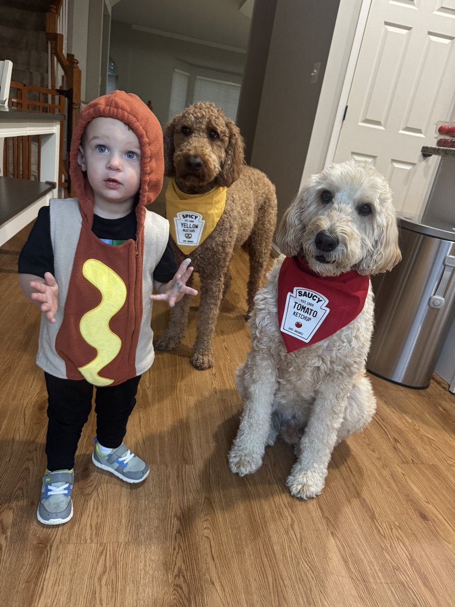 Nicki Jhabvala tweet media