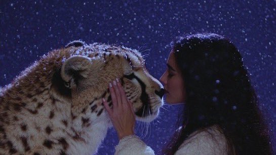 روحي تميل حيث لا أدري، كأن نداءً خفيًا يسحبها نحو ما يُشبه الضوء.