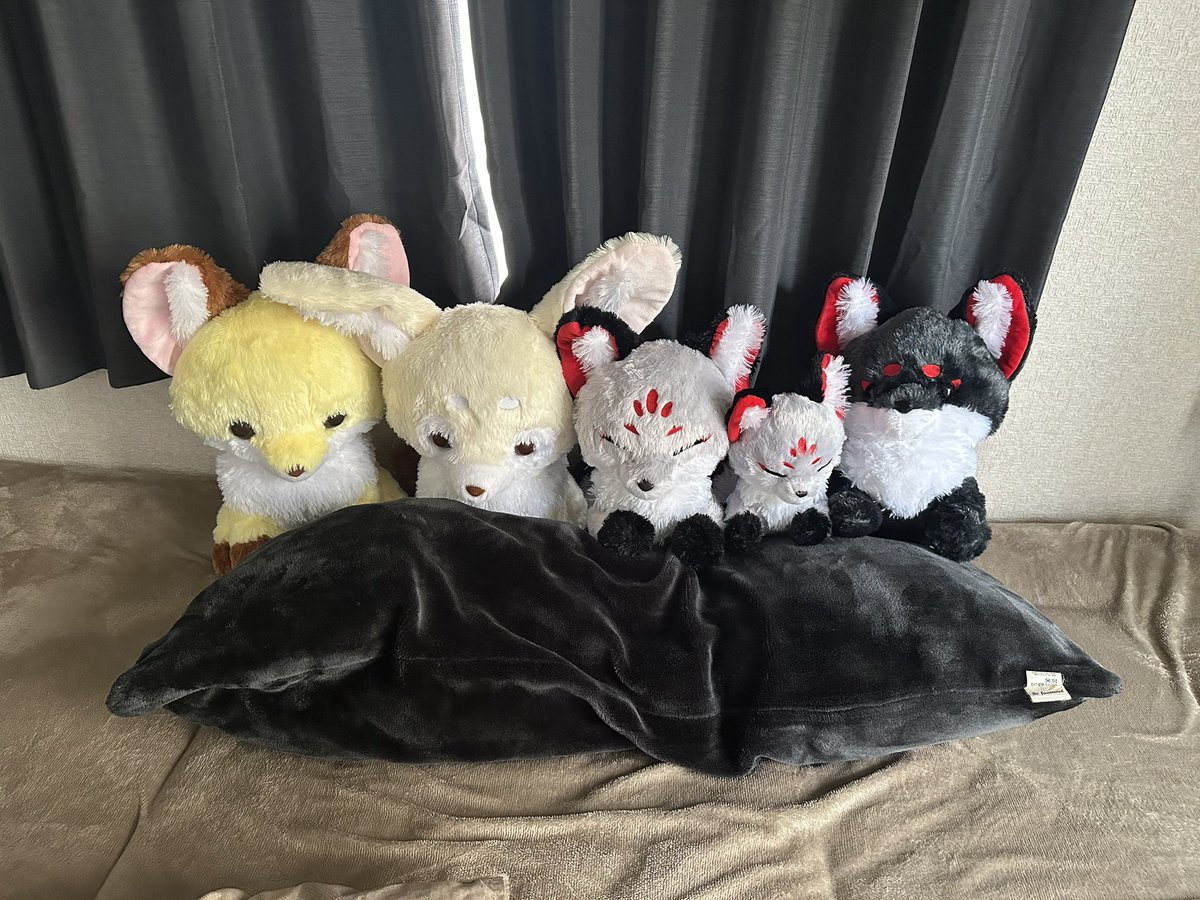 新しい狐さんをまたまたUFOキャッチャーでお迎えしました！

取れない時は数千円使っても一向に取れないのですが、この子達はみんな300円以内でお迎え出来た子達！ご縁！
伊山家に来てくれて感謝！

この子を持ってUFOキャッチャーは引退します！
もう神棚にしろベッドにしろお迎えする余裕がない！