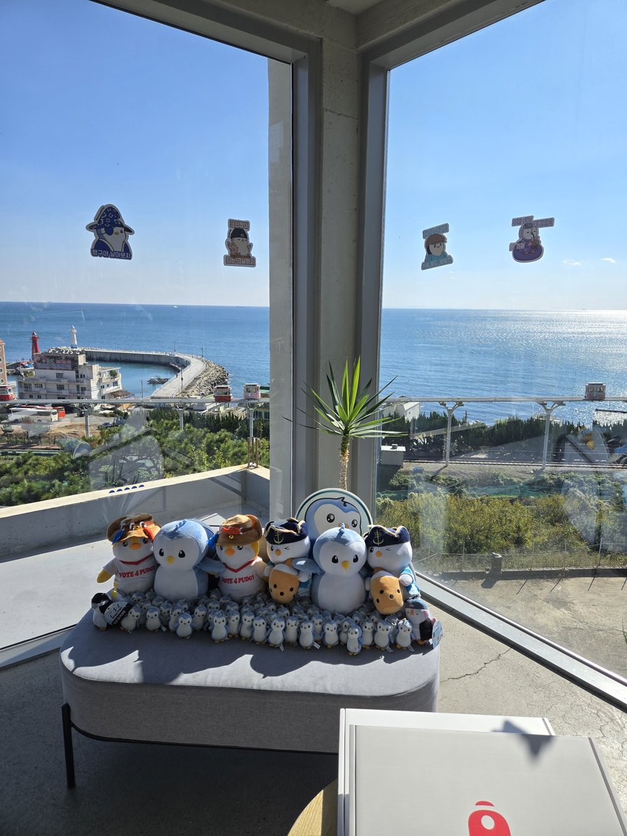 GHK08669752's tweet photo. Happy pengu day at @pudgypenguins 
busan Korea https://t.co/GaXcQSagLm