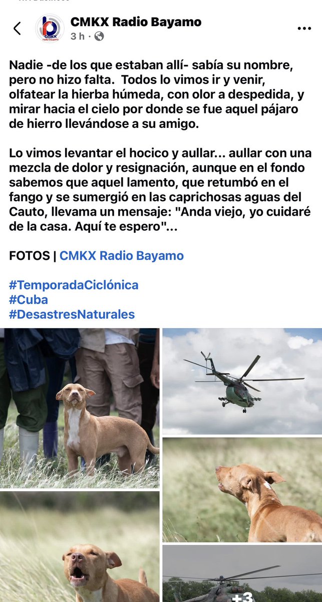 Mario J. Pentón tweet media
