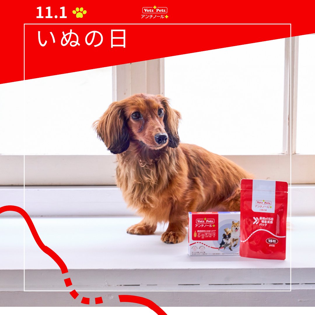 アンチノール｜ベッツペッツ公式 on X