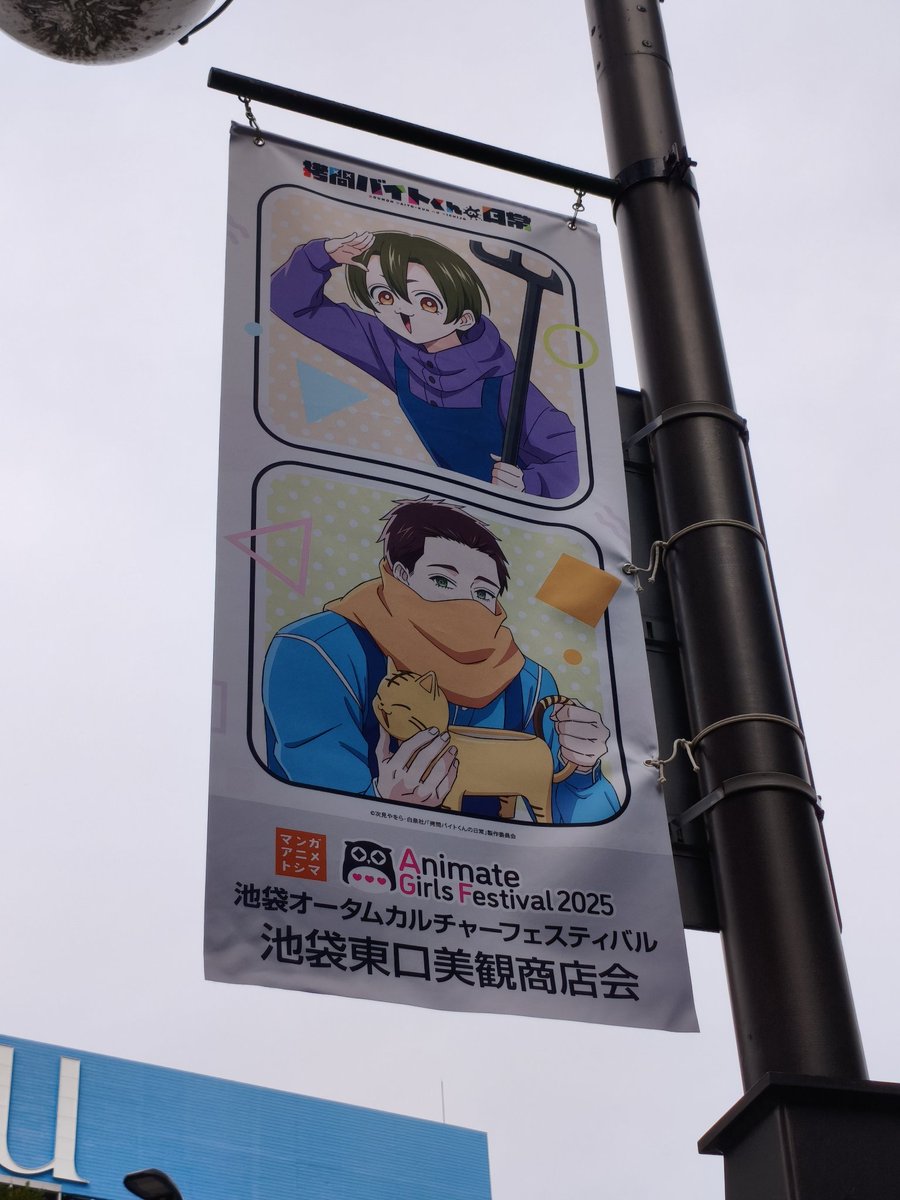 Pompomさん Pompomさん Pompomさん pom pom】 Z X POM | 1G CARTRIDGE