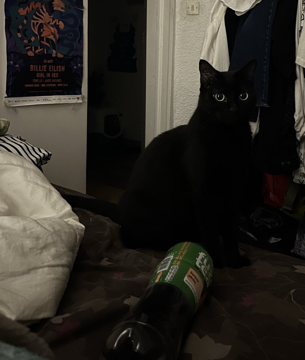 ki_aucube's tweet photo. oui tsuki c’est bien un bruit de cuillère dans un bol mais tu vas etre decu c’est des Kellogs … https://t.co/41sN6dtoW0