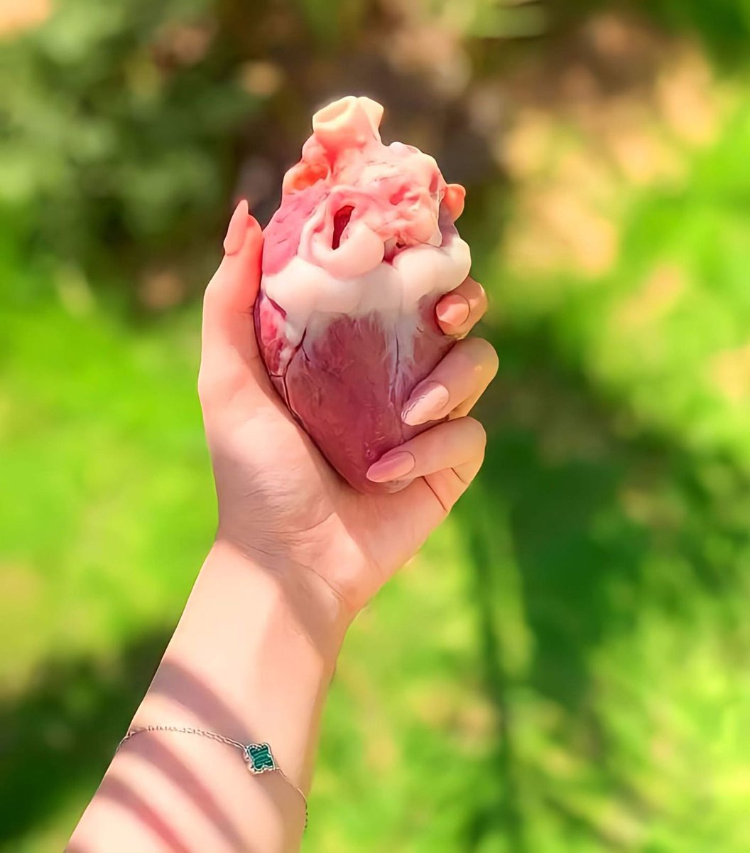 شذى الجابرية tweet media