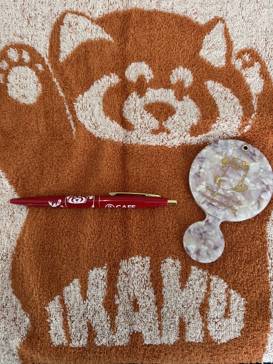 NEWSのウチワ NEWSのウチワ NEWSのウチワ 変身｜NEWS｜ELOV-Label