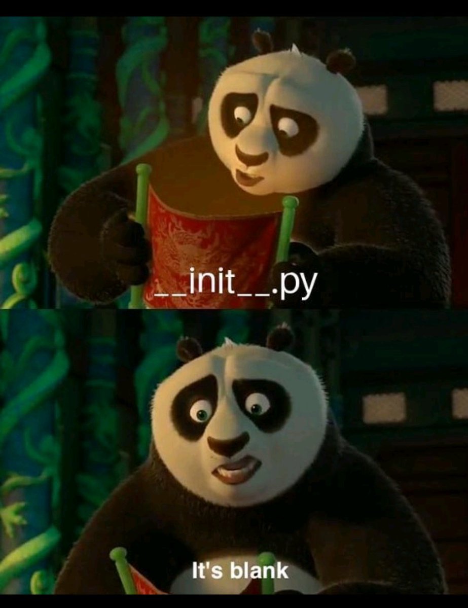 Every Python Developer be like