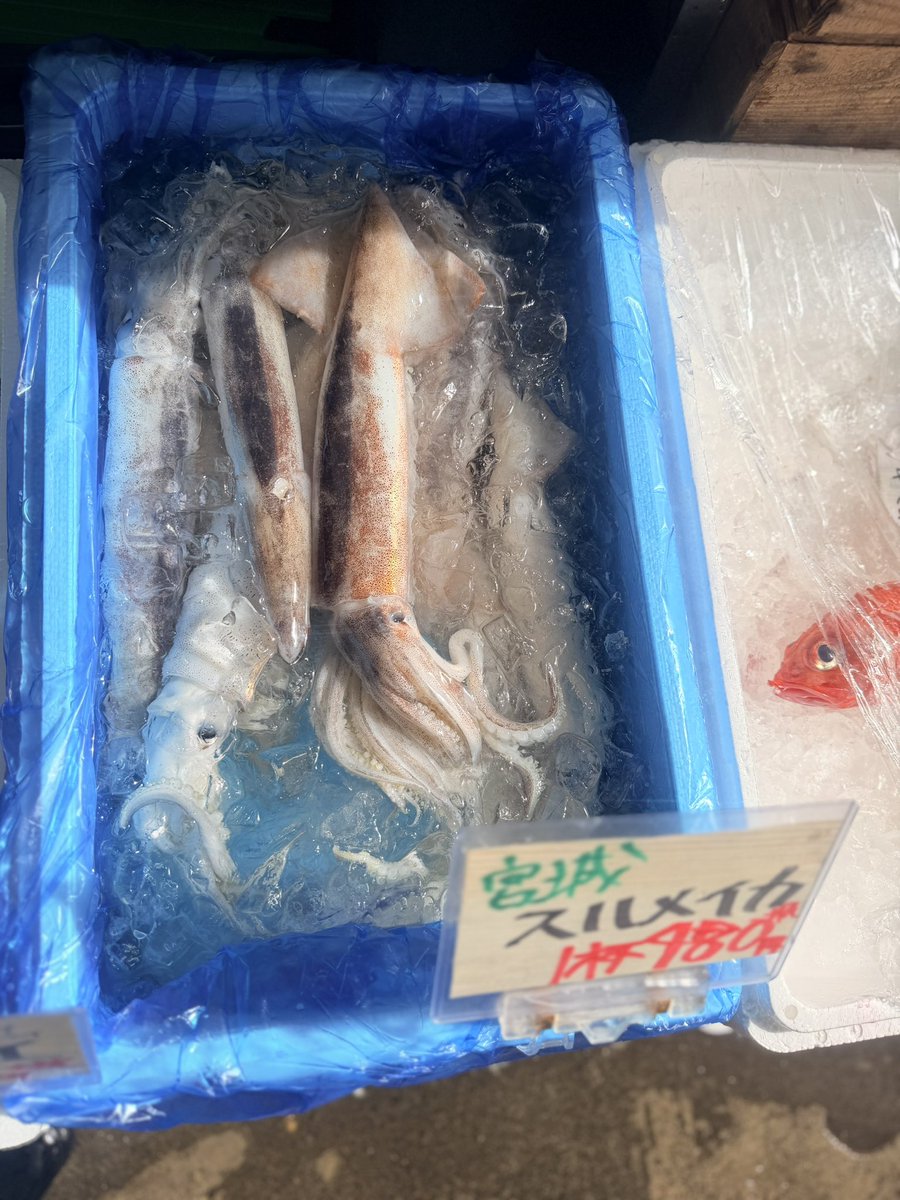 本店】武蔵境おさかな家さん南口店 on X