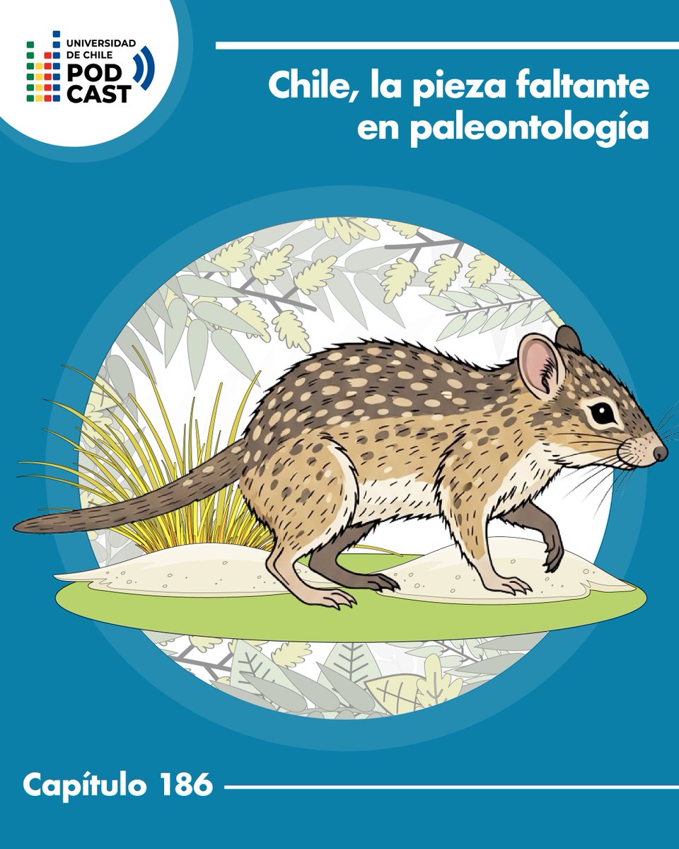 🎙️ESTRENO | Escucha el capítulo más reciente de Universidad de Chile Podcast dedicado a la investigación, innovación y visión que hay detrás de hallazgos clave para comprender el pasado: Chile, la pieza faltante en paleontología uchile.cl/u234154