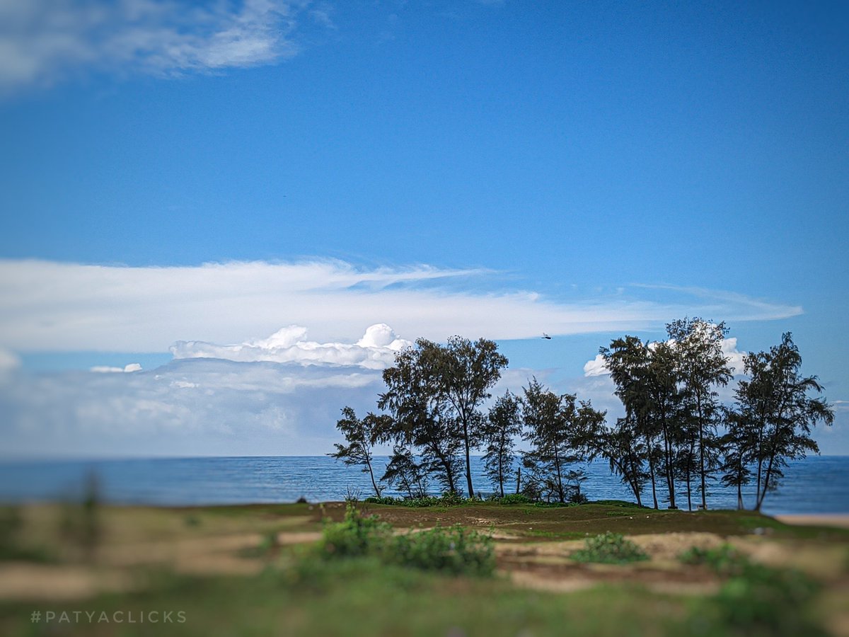 PatyaClicks's tweet image. For a scenic weekend!!!
.
.
.
#theme_pic_India_seaside 
#patyaclicks 
#ScenicSaturday